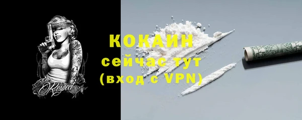 винт Михайлов