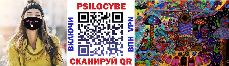 Псилоцибиновые грибы Psilocybine cubensis  Купить закладки  Кандалакша 